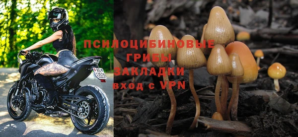 трава Зеленодольск